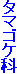 タマゴケ科