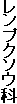レンプクソウ科